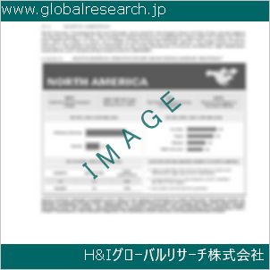 グローバルリサーチ調査資料のイメージ